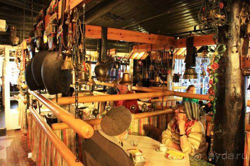 Олени, хаски и Полярный круг