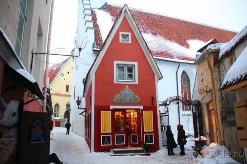 Олени, хаски и Полярный круг