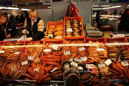 Олени, хаски и Полярный круг