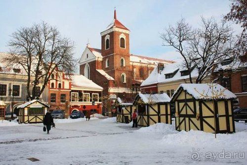 Олени, хаски и Полярный круг