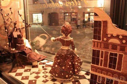 Олени, хаски и Полярный круг