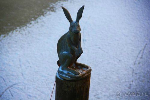 Олени, хаски и Полярный круг