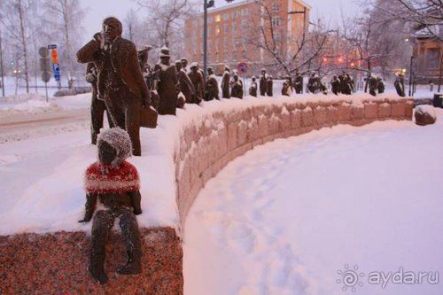 Олени, хаски и Полярный круг