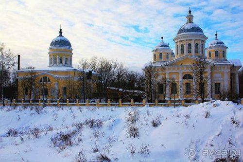 Олени, хаски и Полярный круг