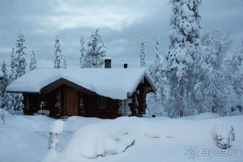 Олени, хаски и Полярный круг