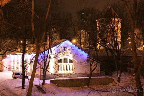 Олени, хаски и Полярный круг