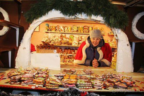 Олени, хаски и Полярный круг