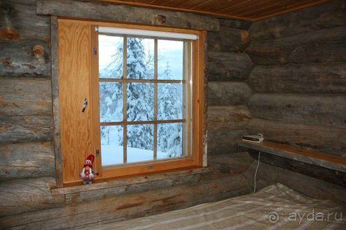 Олени, хаски и Полярный круг