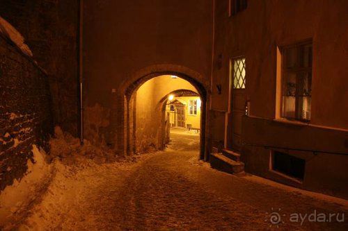 Олени, хаски и Полярный круг