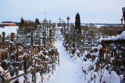 Олени, хаски и Полярный круг