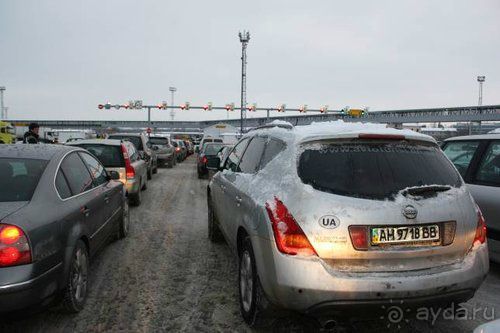 Олени, хаски и Полярный круг