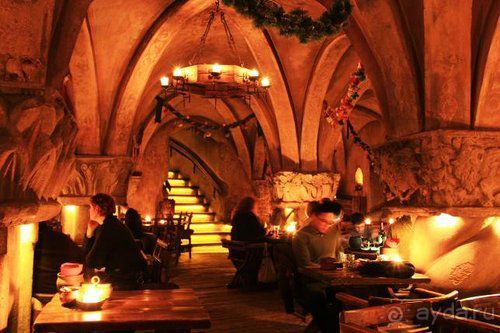 Олени, хаски и Полярный круг