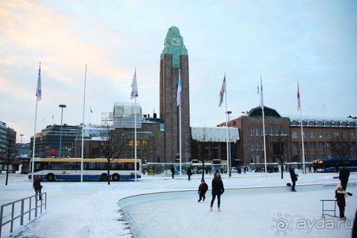 Олени, хаски и Полярный круг