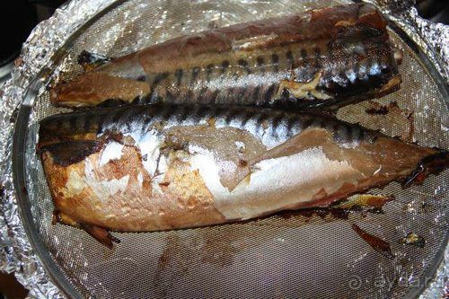 Олени, хаски и Полярный круг