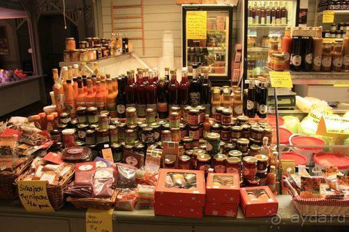 Олени, хаски и Полярный круг