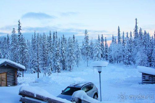 Олени, хаски и Полярный круг