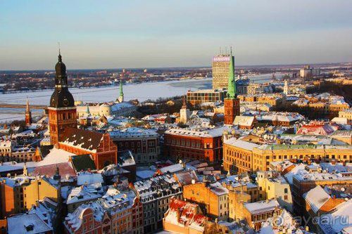 Олени, хаски и Полярный круг