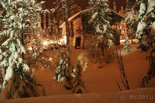 Олени, хаски и Полярный круг