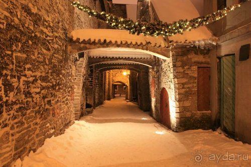 Олени, хаски и Полярный круг