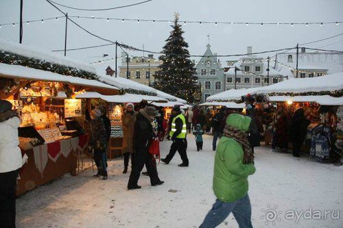 Олени, хаски и Полярный круг
