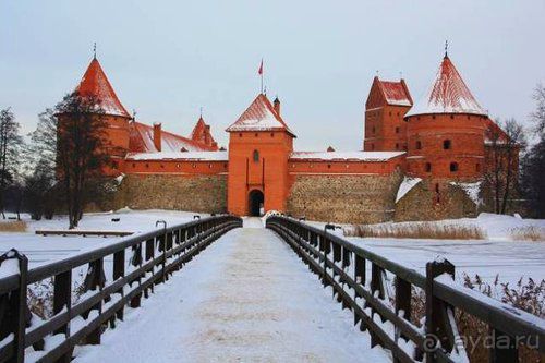 Олени, хаски и Полярный круг