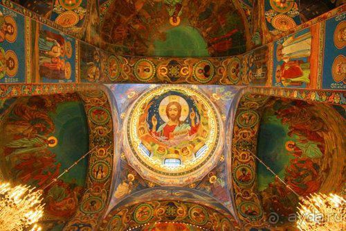 Олени, хаски и Полярный круг