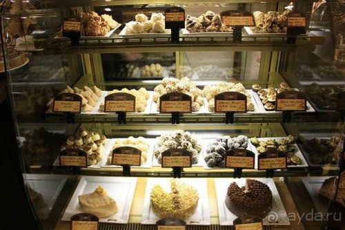 Олени, хаски и Полярный круг