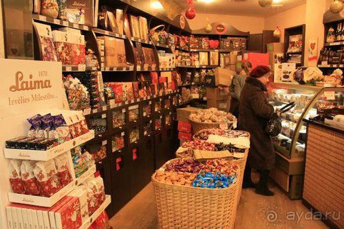 Олени, хаски и Полярный круг