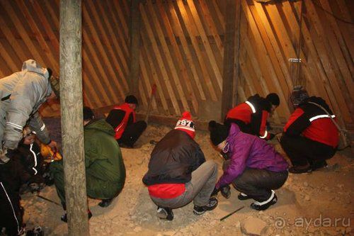 Олени, хаски и Полярный круг