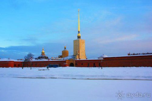 Олени, хаски и Полярный круг