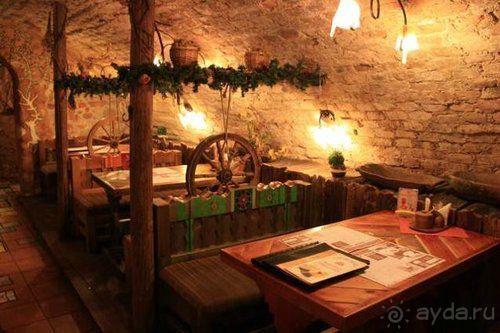 Олени, хаски и Полярный круг