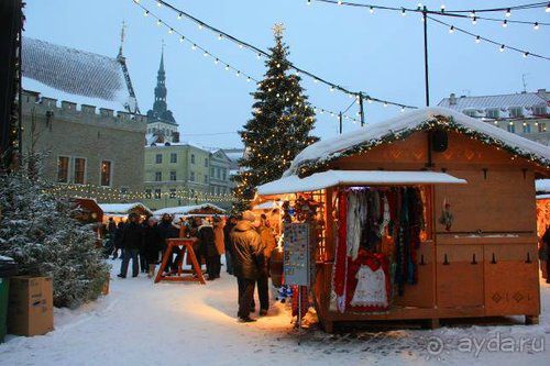 Олени, хаски и Полярный круг