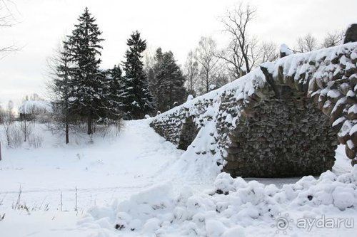 Олени, хаски и Полярный круг