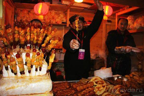 Олени, хаски и Полярный круг