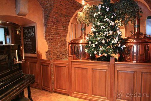 Олени, хаски и Полярный круг