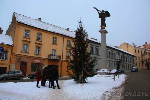 Олени, хаски и Полярный круг