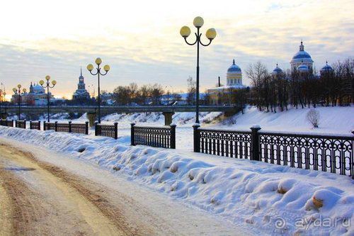 Олени, хаски и Полярный круг