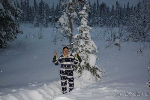 Олени, хаски и Полярный круг