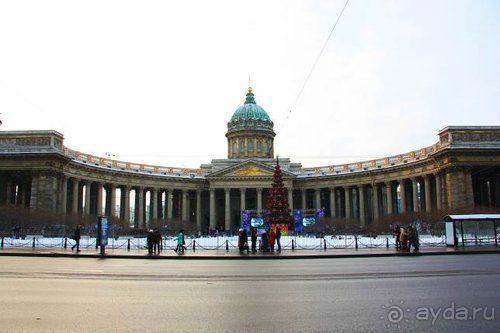 Олени, хаски и Полярный круг