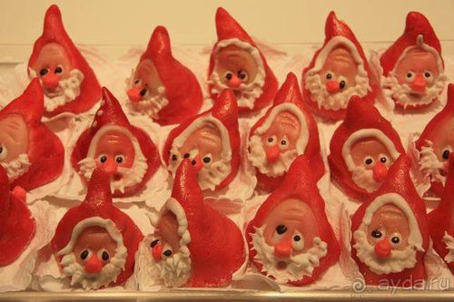 Олени, хаски и Полярный круг