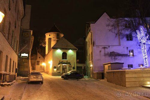 Олени, хаски и Полярный круг