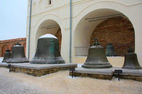 Олени, хаски и Полярный круг