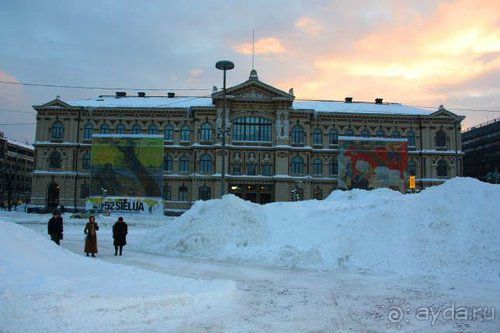 Олени, хаски и Полярный круг