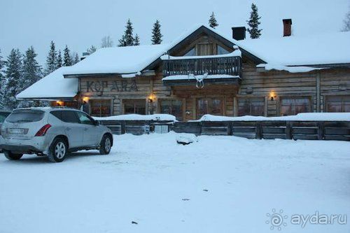 Олени, хаски и Полярный круг