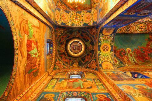 Олени, хаски и Полярный круг