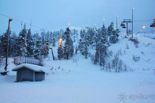 Олени, хаски и Полярный круг