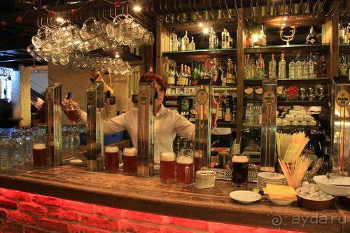 Олени, хаски и Полярный круг