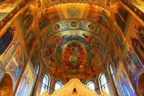 Олени, хаски и Полярный круг