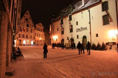 Олени, хаски и Полярный круг