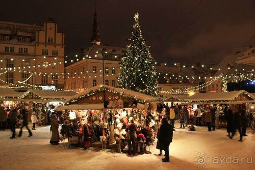Олени, хаски и Полярный круг